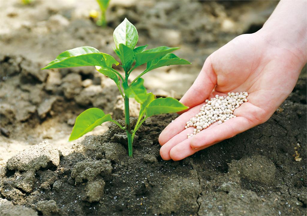 Fertilizer