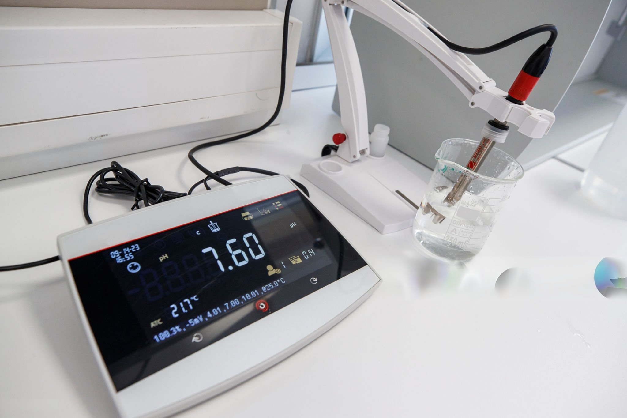 pH Buffer and Stabilizer