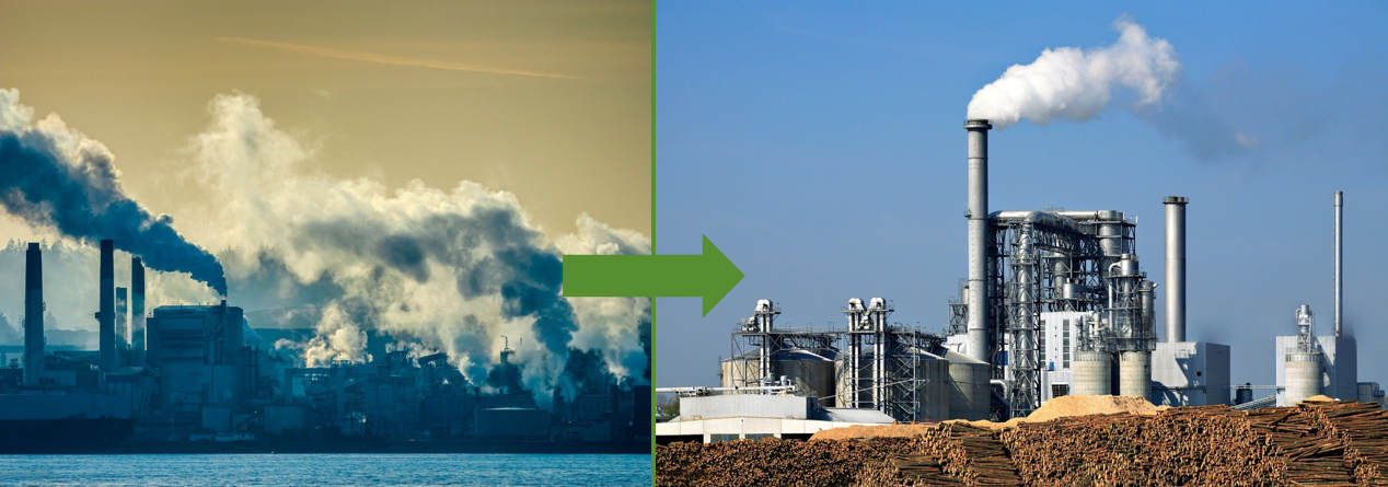 Greener Future for the Pulp and Paper Industry