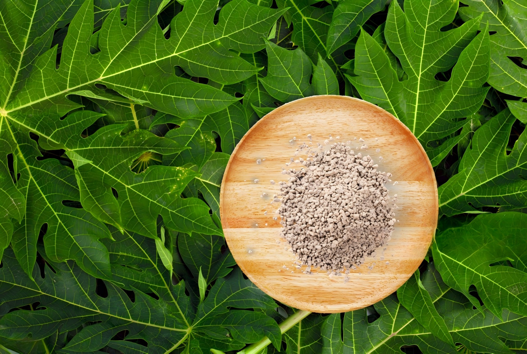 biodegradable colored granules